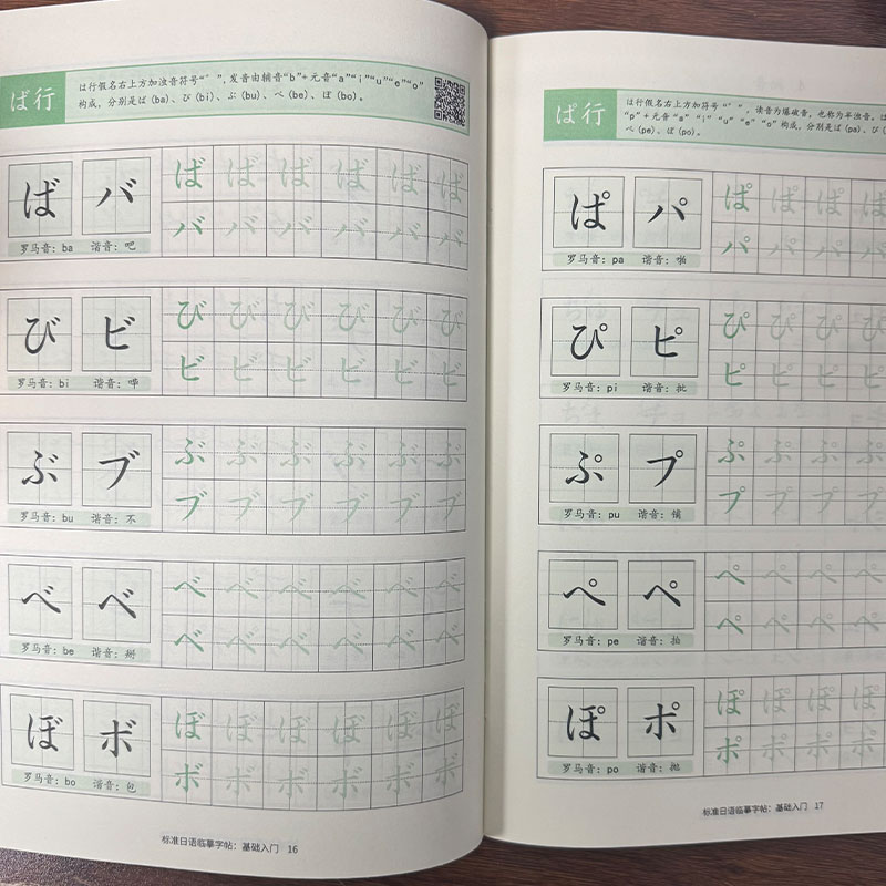 Chinese Calligraphy Practice Book - Japanisches Hiragana & Katakana Übungsheft für