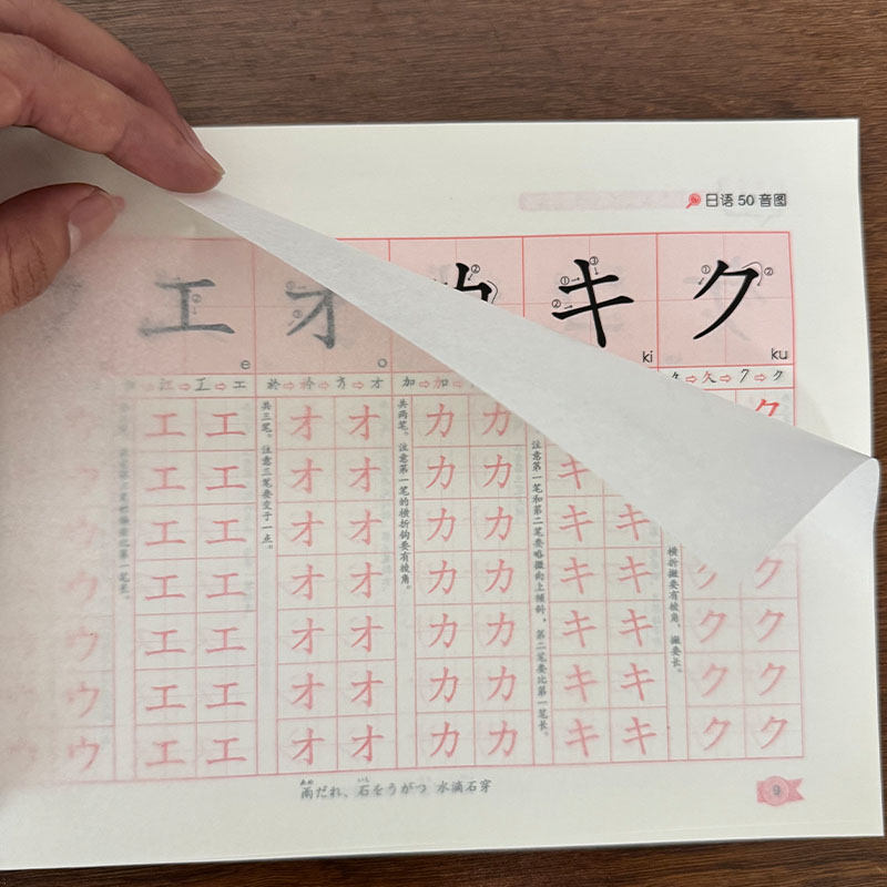 Chinese Calligraphy Practice Book - Zero Beginner Japanisches Hiragana Katakana Übungsheft,