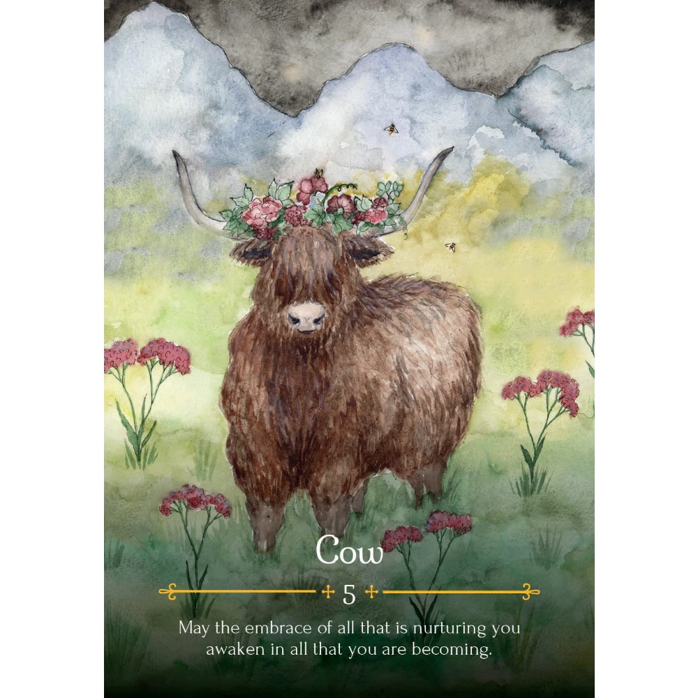 11*6,5 cm Saison der Hexen ora – Tarot Deck With Guidebook Bewertung und Preis